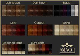 hair color chart rainbow tones possibilities your sophie