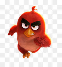 Gunakan burung hantu png gratis ini untuk desain web, desain dtp, selebaran, proposal, proyek sekolah, poster, dan lainnya. Gambar Burung Cililinformat Png Gambar Burung Cililinformat Png Gambar Burung Kartun Raja Kicau Gratis Untuk Komersial Tidak Perlu Kredit Bebas Hak Cipta Katina Hull Download Gambar Burung Elang Png Png