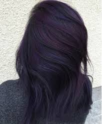 Nice 25 Trendy Black And Purple Hair Ideas That You Should Give A Try Haircolorbalayage Hair Color For Black Hair Dark Purple Hair Hair Tint