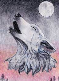 1001 astuces d artiste pour apprendre a realiser un dessin de loup lune livre coloriage pages mandala