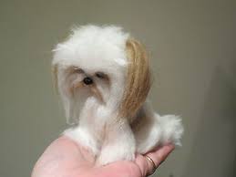Many mi ki dog breeders with puppies for sale also offer a health guarantee. Dog Breeders In British Columbia Puppies For Sale In British Columbia