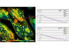 Main page > advanced trackers > fmb120 > fmb120 manual > fmb120 can adapters. Dcs 120 Confocal Flim System Becker Hickl Gmbh