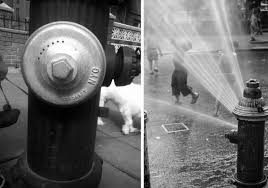 New York's tradition of uncapping fire hydrants to beat the heat | 6sqft