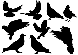Dove Silhouette Free Vector Art 146 Free Downloads Columbidae peace doves as symbols , dove s, dove silhouette illustration png clipart. dove silhouette free vector art 146