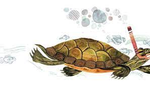 How Long Can Turtles Stay Underwater And Other Questions From Our Readers At The Smithsonian Smithsonian Magazine