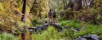 It is my understanding that the 'at large' camping permitted inside the kaibab national forest is. Best Camping In And Near Coconino National Forest