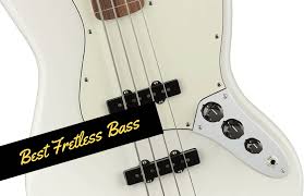Own 3 fenders and a musicman also, but warwick is best in my opinion! The Best Fretless Bass Guitars In 2021 You Will Love Guitar Space