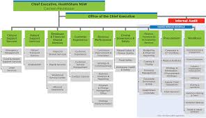 Organisation Charts Healthshare Nsw