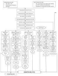 Pathophysiology Of Diabetes Mellitus Diabetes Diabetes