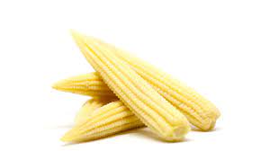 What Is Baby Corn Really
