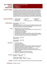 Responsibilities for ipb assistant relationship manager resume. Sales Assistant Cv 6 Sales Assistant Cover Letter 6 Project Manager Resume Resume Skills Section Resume Skills