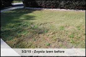 Grass can be seeded or established using vegetation in the form of sprigs, plugs, or sod. Epls 407 532 8188