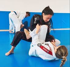 Pin By Fran Cisco On Flight Of The Brazilian Dragon Taekwondo Girl Jiu Jitsu Girls Martial Arts Girl