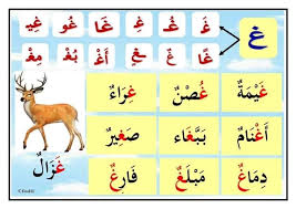 الحروف بالحركات والمواضع letter flashcards alphabet flashcards arabic alphabet