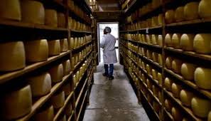 Exportaciones l&aacute;cteas argentinas marcaron un r&eacute;cord y ya representan casi un tercio de la producci&oacute;n