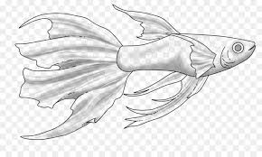 Fish Cartoon Png Download 1024 602 Free Transparent Guppy Png Download Cleanpng Kisspng