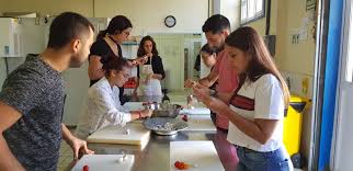 Si buscas cómo y dónde conseguir tu carnet de de manipulador de alimentos válido y homologado en las palmas, resolvemos todas tus dudas en este artículo. Actividades Cursos Y Talleres De Juventud