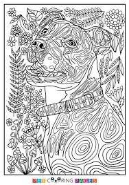 This coloring page was posted on friday, june 11. Pin On Printables