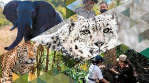 Global Wildlife Program