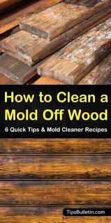 6 Quick Ways To Clean Mold Off Wood Cleaning Mold Cleaning Wood Mold Remover On Wood