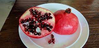 How To Grow Pomegranate Plants From Seed Today S Homeowner Growing Pomegranate From Seed Growing Fruit Trees Pomegranate Growing