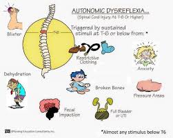 Image Result For Autonomic Dysreflexia Autonomic Dysreflexia Spinal Cord Injury Spinal Injury