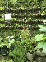 Pekebun dapat dibuat dari cedar atau keramik. Cuci Mata Dan Belajar Sehat Di Kebun Sayuran Organik Bandung Halaman All Kompasiana Com