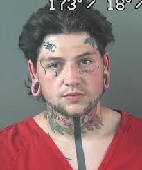 Gallery: Felony arrests and gross misdemeanor arrests from July 1 to July 7