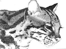 Maybe you would like to learn more about one of these? Lukisan Flora Dan Fauna Hitam Putih Cikimm Com