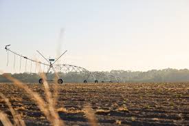 Image result for tbn:cRxpWML3C6TQFM::farm3.static.flickr.com/2382/2420623259_e3c8cd4fd8.jpg