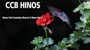 Belos hinos ccb hinário 5 hinos ccb cantados. Hinos Ccb 2021 Hinos Ccb Cantados Hinario 5 Completo Youtube