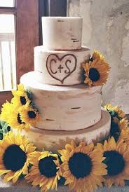 Pin On Cakes