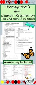 Pin On Photosynthesis And Cellular Respiration