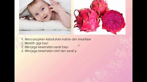 Mulai dari kesiapan bayi menerima makanan tambahan, kandugan gizi makanan, hingga cara. Manfaat Buah Naga Untuk Bayi 6 Bulan Hidup Sehat