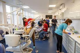 Este personal no solo forma a 5200 estudiantes de grado, sino que también conducen los estudios de máster, los estudios de doctorado. Facultatea De Medicina Dentara Stiri De Cluj
