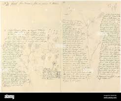 Image result for Trifolium polystachyum