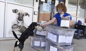 Maybe you would like to learn more about one of these? There S A Great Need Omhs Launches Pet Food Bank Oakville Milton Humane Society
