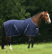 Brooke kemper (usa) and arpeggi, the 2010 westphalian gelding (arpeggio x lancer iii) owned by. Horseware Rambo Stalldecke 0g Blau Weiss Ho Bbwo