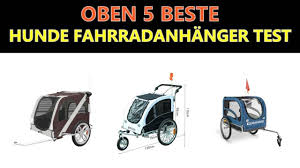 Beste Hunde Fahrradanhanger Test 2020 Youtube