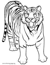 Tiger coloring pages let children take an adventure into the jungle with the big wild cats. Tiger Coloring Page Coloring Home
