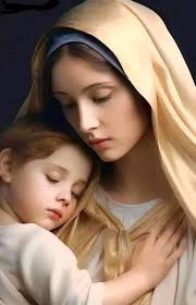 Holy Mary, Seat of Wisdom, Mother of God, enlighten our minds with the  teachings of Christ, that we may discern God's plan for us. Blessed Virgin,  Our Mother, pray for us! 🙏