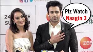 Pearl v puri (born 10 july 1989) is an indian television actor. Naagin 3 Surbhi Jyoti And Pearl Puri At Zee Gold Awards 2018 Youtube