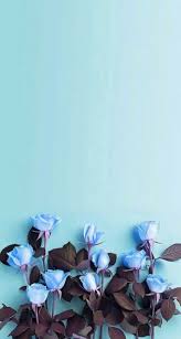 48 Ideas Flowers Tumblr Background Blue Blue Flower Wallpaper Flower Background Wallpaper Cute Blue Wallpaper