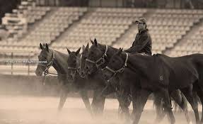 Though the arabian horse price can vary, you can still buy one for under $10,000. Pololine Changing Ponies Every Two Minutes Is Forcing The Cost Of Polo Through The Roof