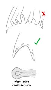The contents related to anatomy and morphology of the articulation of the wing with the thorax have their action gives secondary movements of the wing which are important for the folding, during rest. The Sky Calls To Us Do You Have Any Tips Or Tricks For Drawing Dragon