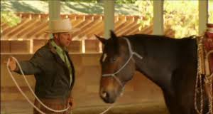 Buck brannaman is an american horse trainer and a leading clinician with a philosophy of handling horses based on classical concept. 11 Quotes From Buck Brannaman Slo Horse News