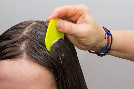 Hampir setiap hari nenek aku yang selalu belanja membeli beras dan keperluan lainnya, setelah aku mencatat apa yang kami sepulang sekolah, cepat aku makan dan berganti pakaian. Kutu Rambut Tidak Hilang Juga Biarkan Saja Atau Pakai Obat