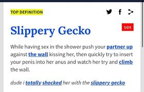 Choose a custom dimension for a narrow sofa table or console table. Top Definition A Sex Slippery Gecko While Having Sex In The Shower Push Your Partner Up Against The Wall Kissing Her Then Quickly Try To Insert Your Penis Into Her Anus And