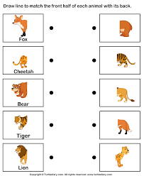 Different Body Parts Of Animals Worksheet Turtle Diary