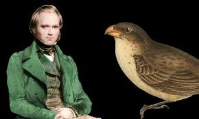 Charles Darwin Biography Facts And Pictures